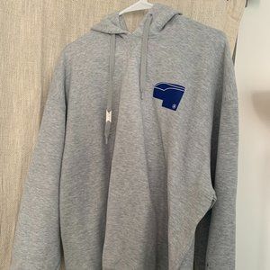 Gray Puma ader Hoodie